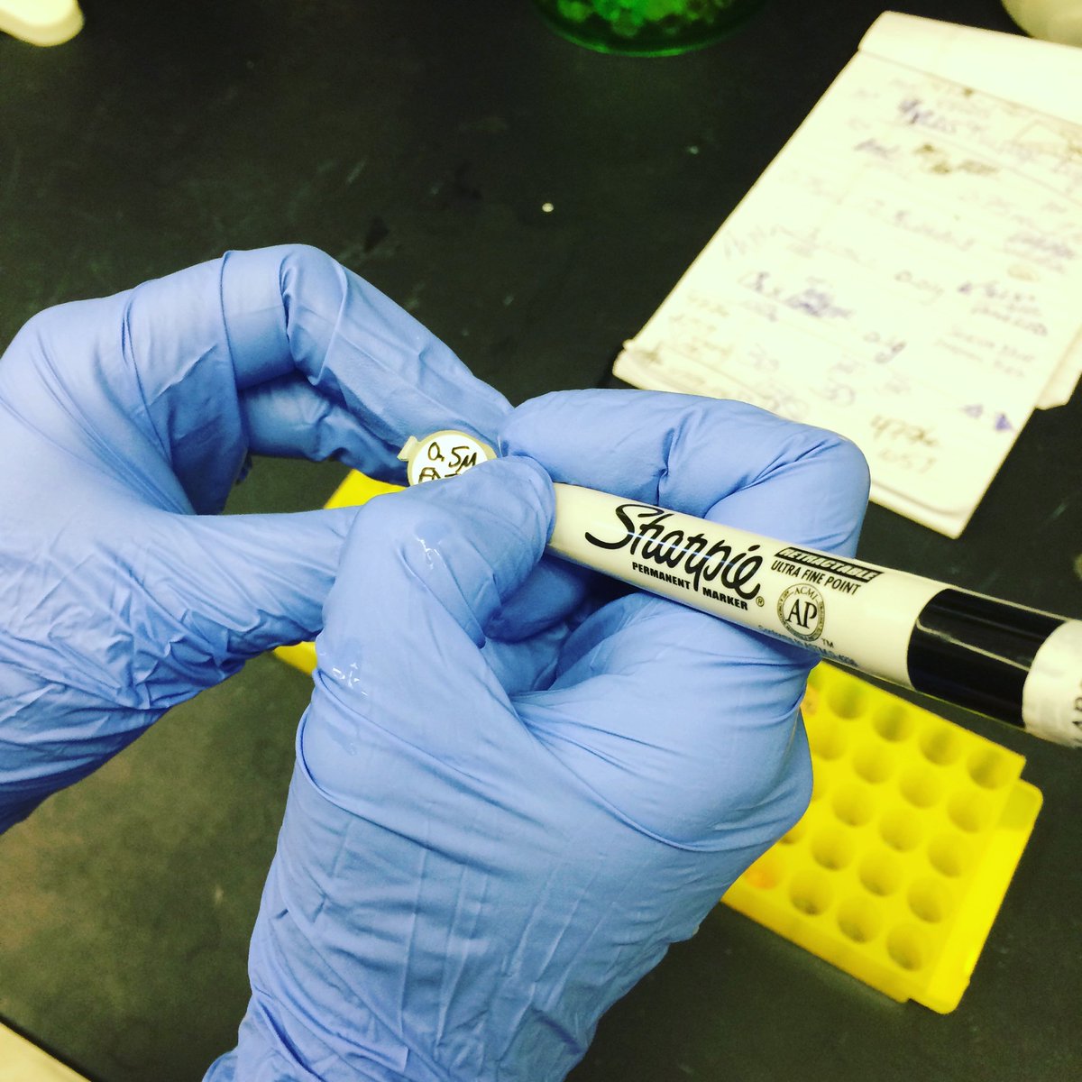 youinthelab's tweet image. Wrapping up your research before the weekend? 

1)#LabelEverything 

2) Double-check with a labmate you're not 100% sure of correct storage conditions 

#GoodLabHabits  #FridayFeeling