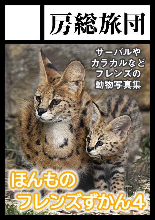 空白寺 Na Twitteru 飼育員さんを見つめるサーバル親子 でも幼い息子は母親のほうが気になるようです T Co Bjb8wvhcej Twitter