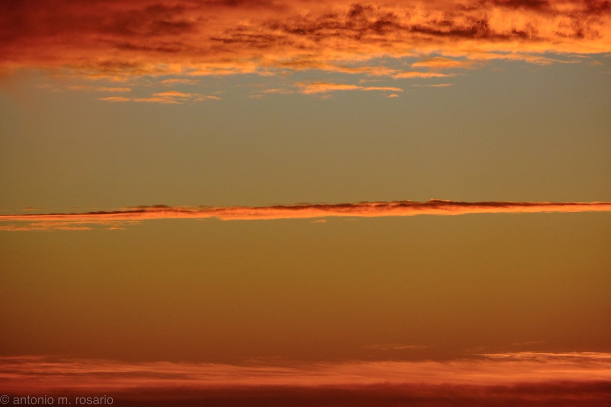 Antonio M. Rosario tweet media