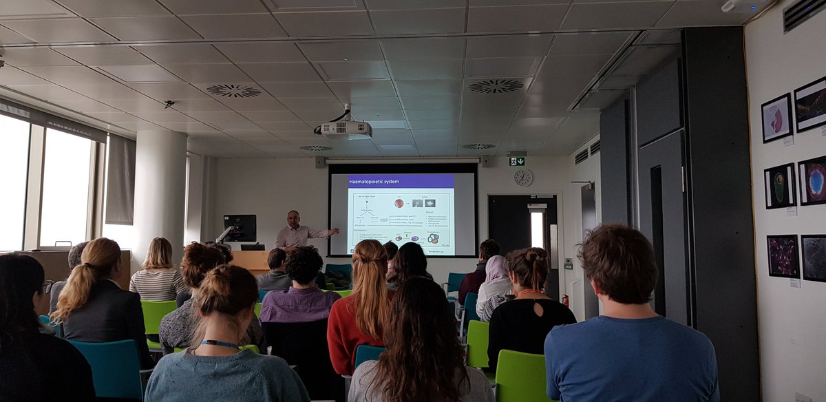 KCLstemcells's tweet image. Thank you to Dr Guillaume Blin and Dr Kevin Rouault-Pierre for your excellent talks at today&apos;s the Stem Cells @ Lunch seminar

#stemcells #JMML @kevin_rouault @crm_edinburgh @The_MRC @QMUL @QMBCI @davide_danovi @KCLBMBioscience @KingsCollegeLon @KingsImaging @kingshealth