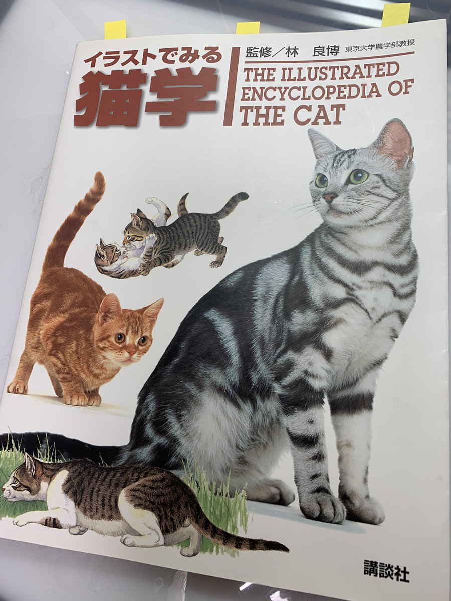 この漫画を描くにあたって「そもそも猫の骨格ってどうなってるんだろう…実物みてもフニャフニャしててよくわからん!」と、本を買ってみました。もっと詳しいものも見たいけど、専門的でさすがにすごく高いのですね…