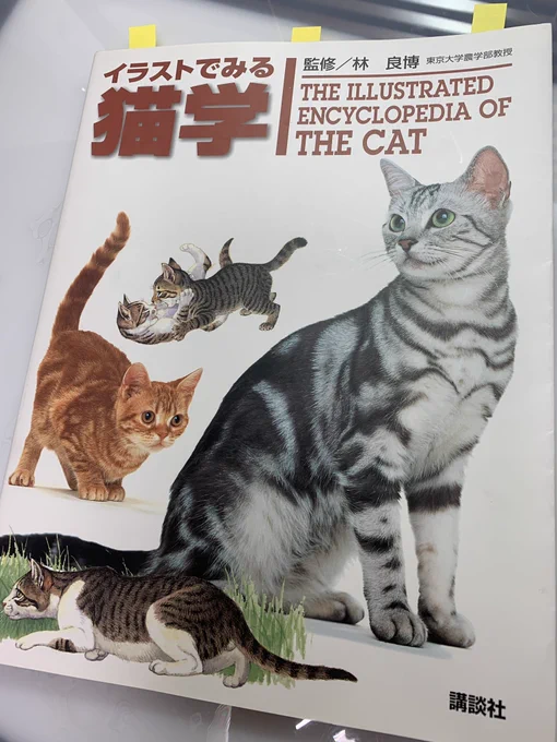 この漫画を描くにあたって「そもそも猫の骨格ってどうなってるんだろう…実物みてもフニャフニャしててよくわからん!」と、本を買ってみました。もっと詳しいものも見たいけど、専門的でさすがにすごく高いのですね… 