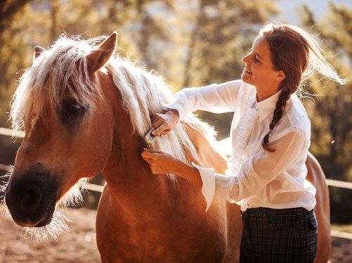 horsesconnect's tweet photo. “Taking therapy out of the office and putting people next to a large animal means they have to be in the now,... This can quickly expose unhelpful thought and behaviour patterns, ....” https://t.co/sIFj5deEE5 https://t.co/GbVCArWvto