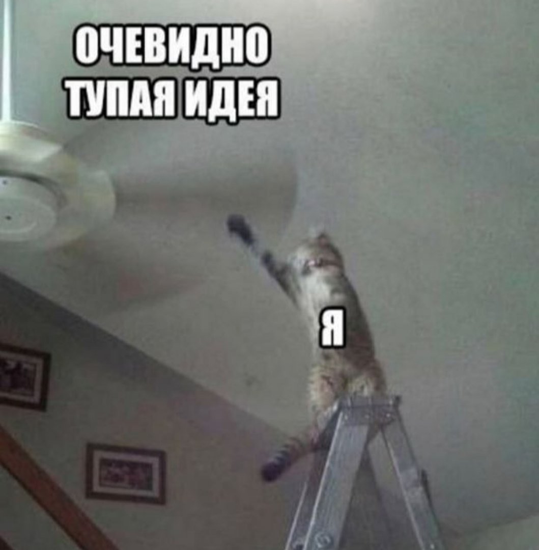 DypWz8rW0AAic7L?format=jpg&name=medium