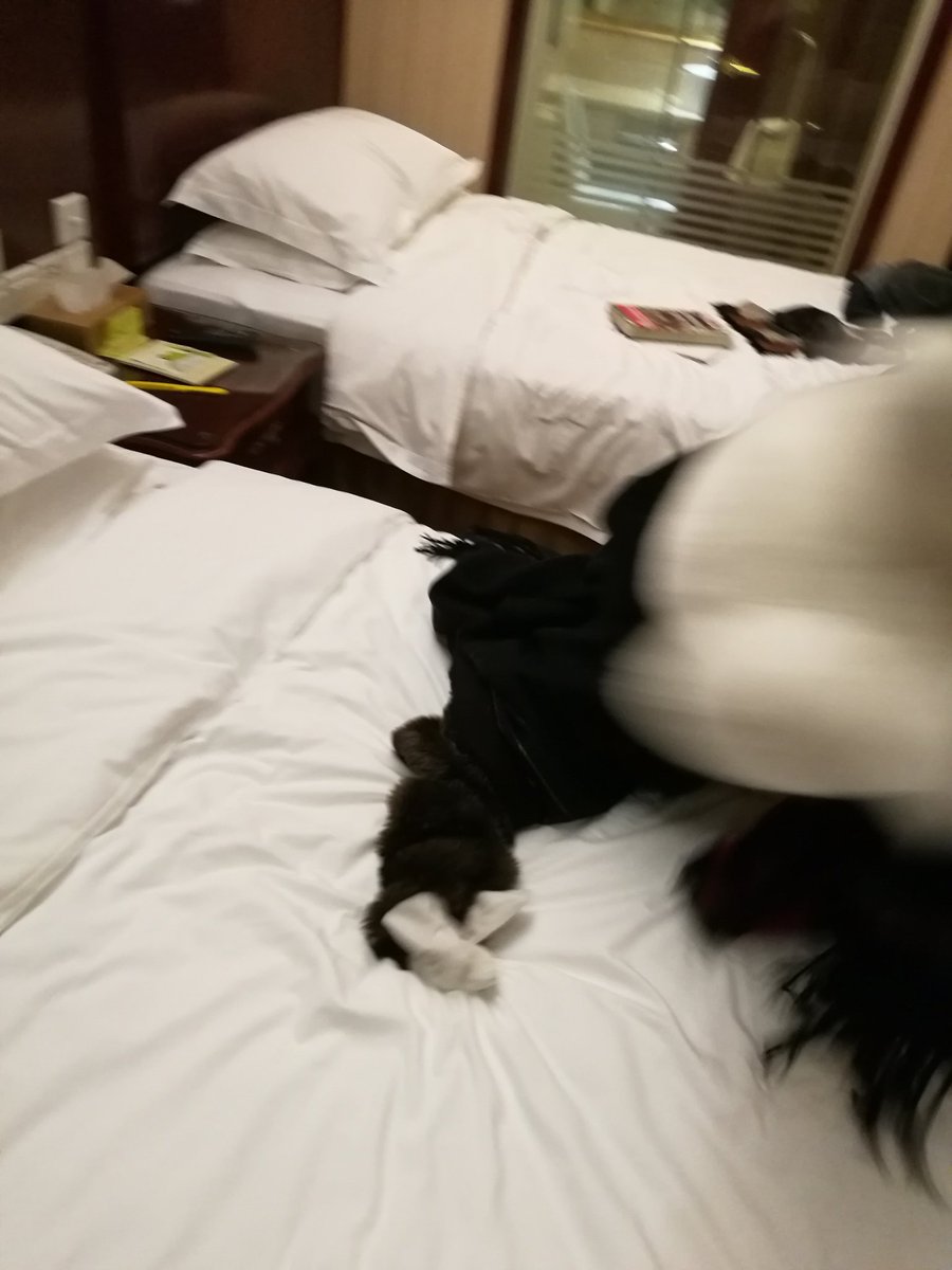 foxAndrel321's tweet photo. 😳
起舞弄清影??? https://t.co/a3MUUWsWrW