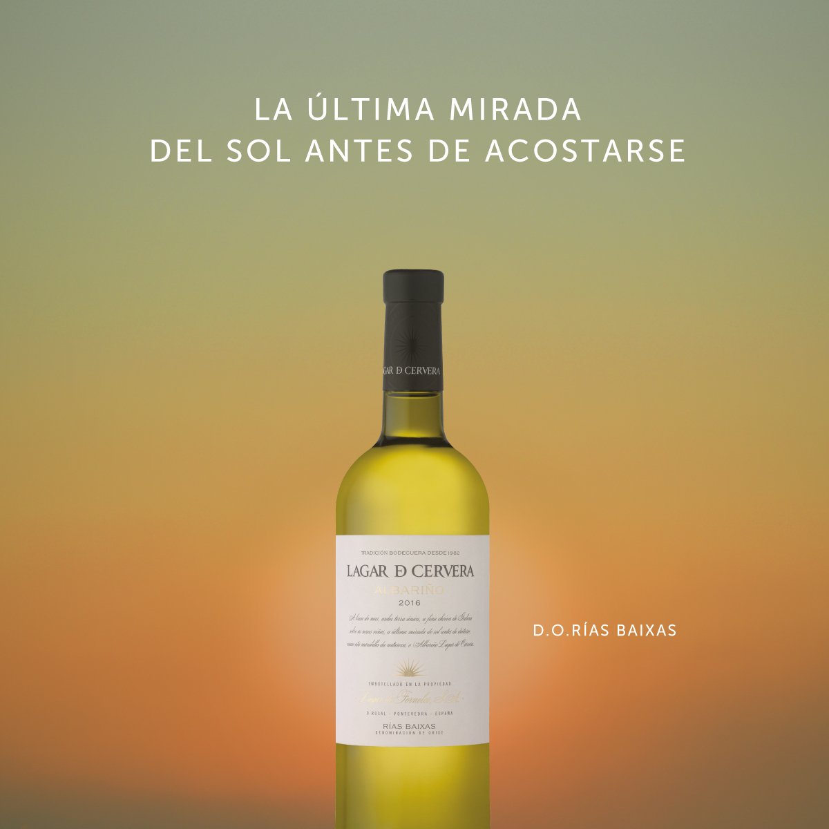 Lagar de Cervera. Fresco, elegante y cautivador de <a href="/lariojaaltasa/">Bodega La Rioja Alta, S.A.</a>
La bodega define esta cosecha como “muy gallega” por las lluvias que cayeron durante el verano y que propiciaron un buen ciclo de maduración de la Albariño. Disponible en  👉  bit.ly/covigran-lagar…
#Enolovers