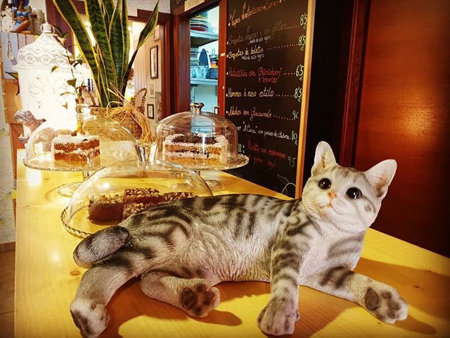 ts_a_casa's tweet photo. Gatos e tartas 💙💚💛🧡💜❤
•
•
•
#tsacasa2anos #tsacasa #vexetariana #coctel #caminofrances #scq #santiagodecompostela #santiagotropical #galizatropical #compostelatropical #compostelacapitaldosbares #amazoniascq https://t.co/nzK7BrQroB https://t.co/7HZDE0OcMD
