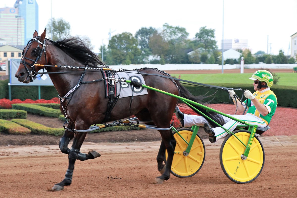 hoosiernations's tweet photo. GoodMorning @AshleyTetrick @tetrickracing @TraceTetrick @Chris_wponies @JoannKi32885615 @rebelsart @jtlburn @kimberlymoier @GlenPeckinpaugh @DawnPeckinpaugh @vnssa926 @KathleenBaitzel @SadandSulk @gabe_prewitt @joe_norte @elliotgordon2 #WorkinOnaMystery #TimTetrick #RedMile https://t.co/nRHMLcPvwy