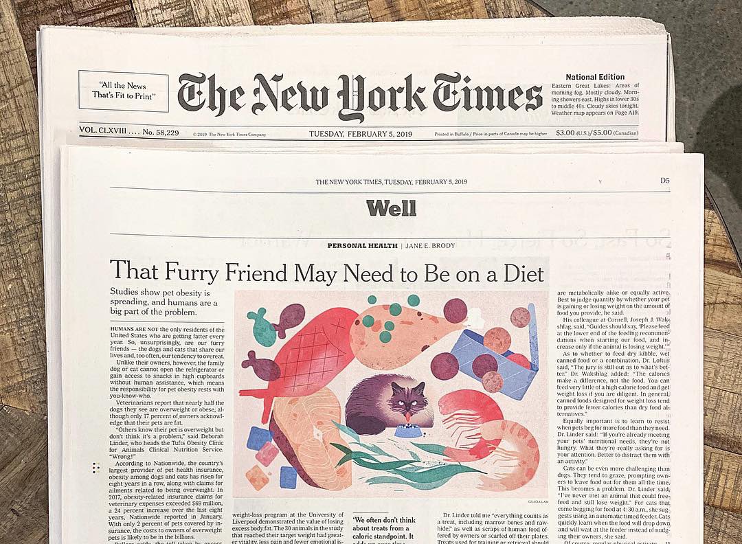 Second in the series on #portioncontrol for #fatpets. Find it in today’s <a href="/nytimes/">The New York Times</a>, Written by columnist #JaneBrody
