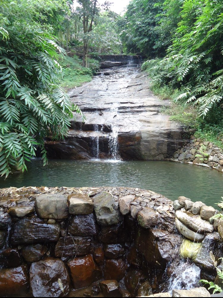 mayaspeak1's tweet photo. Nature at its best at @TheTamara_Coorg
Beautiful trekking trails, vantage viewpoints, and waterfalls! The nature trek provided here is surely a memorable one
#TamaraCoorg #Paradise #IncredibleIndia #travelphotography #hiking #LuxuryResort #TravelBlogger #MayaBathija #MayaSpeak https://t.co/Gn3JOH4XAL