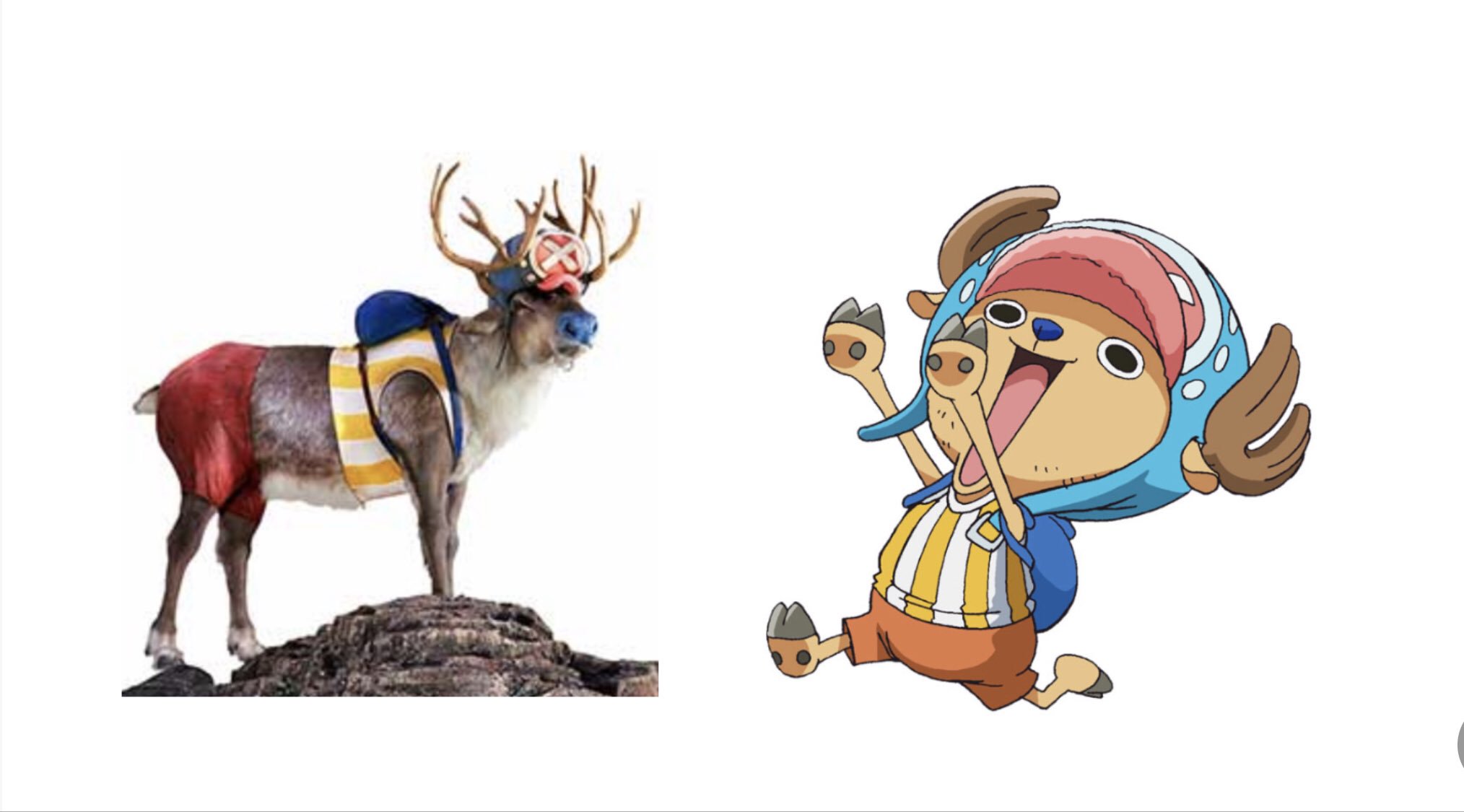 Jade 実写版チョッパーよ ただのトナカイやん W ワンピース Cm ワンピースcm Indeed Onepiece T Co Sumbjtjesv Twitter