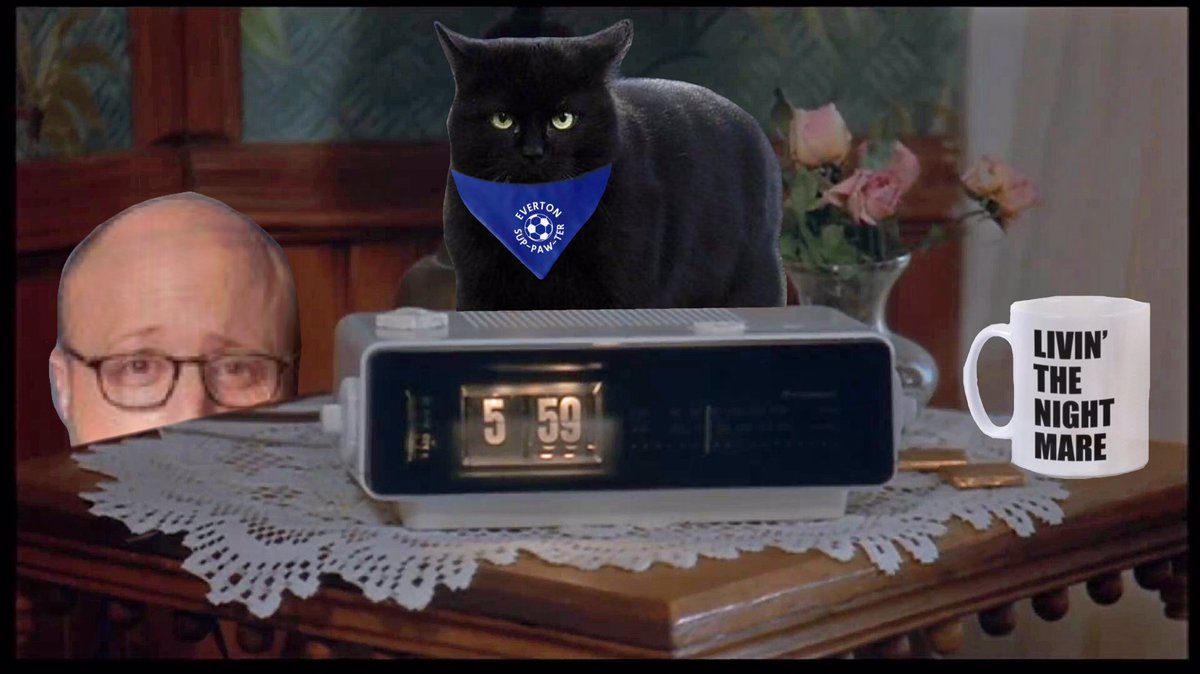 EnglishBob1's tweet photo. Well it’s Groundhog Day ... again. Rog wakes up again stuck on the same day having to watch Everton 1 Wolves 3 over and over again. @MenInBlazers #GoodisonCat #Courage https://t.co/YhCp2EaMEF