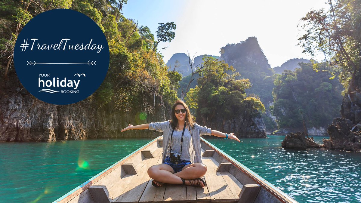Your Holiday Booking tweet media