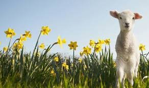 SPRING
11th March - 1st April - Health and Wellness Programme
8th April - 29th May - Moving On Programme
11th April - 6th June - Write to Recovery
For further information or to make a referral get in touch with Lauren, Laura or Hilary on 01563 573966 @TNLComFundScot <a href="/ea_adp/">East Ayrshire ADP</a>