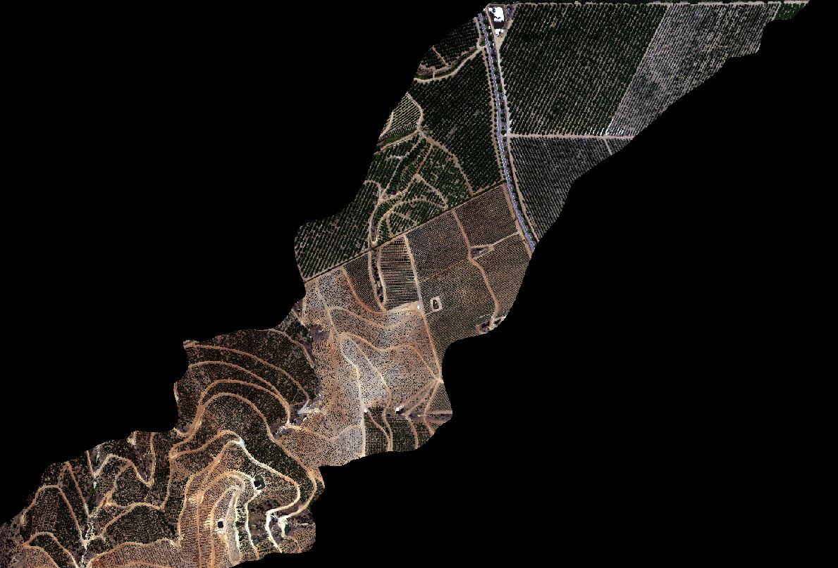 HemeraUMayor's tweet photo. Imágenes #EsteroPuangue capturadas en 17/01 con nuestro sensor #Hiperespectral VNIR 1.600, 160 bandas. Tamaño de pixel 30cm volando a 1.200mt de altura. Corrección geométrica @MorochaForestal. @HySpexNEO @FACh_Chile @SAFChile @DeCuracavi #PARGE. https://t.co/GrdpwwtaSw