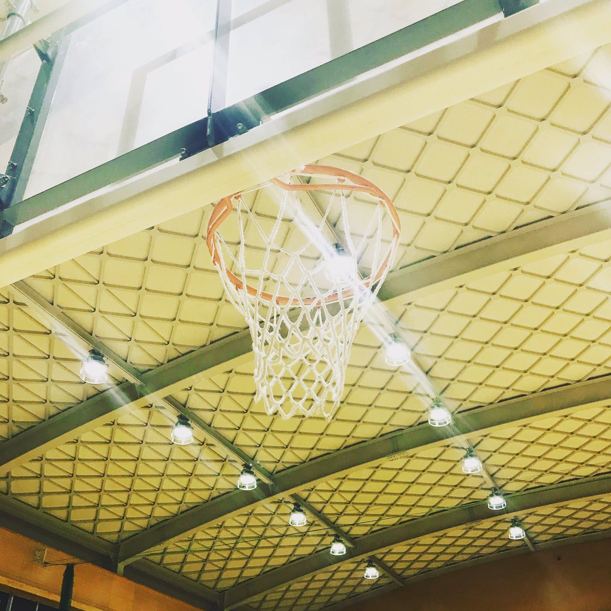 Seedバスケットボールクラブのコーチ Seedbbc Twitter