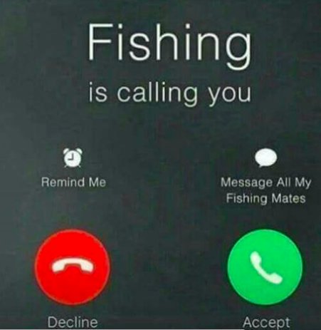 MemphisNet's tweet image. 