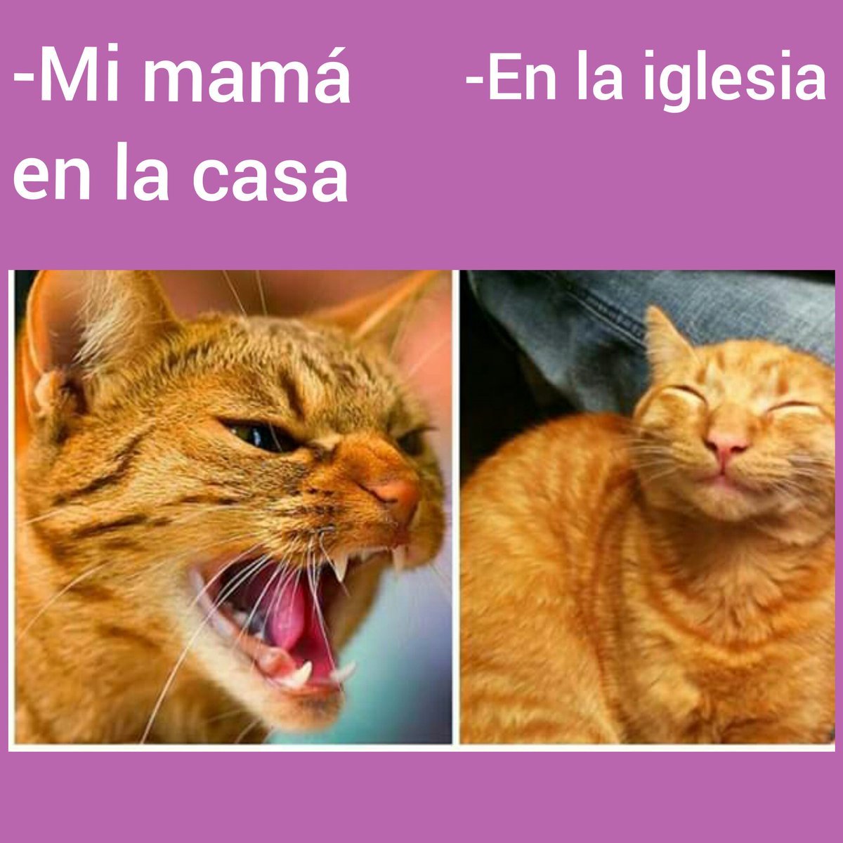 A veces #SientoComoSi mi mamá tuviera doble personalidad😂#BuenMartes #FelizMartes