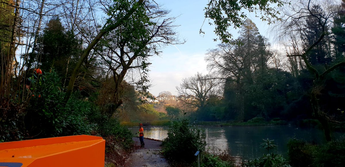 teigntrees's tweet photo. As it's #treeworktuesday take a look at these recent photos sent by our #treecrews. If you have any tree or hedge work give us a call on 01626 773499 to book your FREE No Obligation Quote #teigntrees #ARBapprovedcontractor #treework #hedgework #clearance https://t.co/hkV3wQjPHW