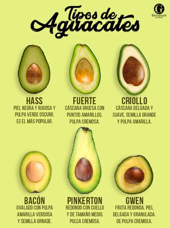 RPadrisimo's tweet photo. 🥑 🥑 ¿Cuál es el #aguacate que soléis comer? Cuéntanoslo!  🥑 🥑 
#avocado #mex #question https://t.co/TNFwmREnZs