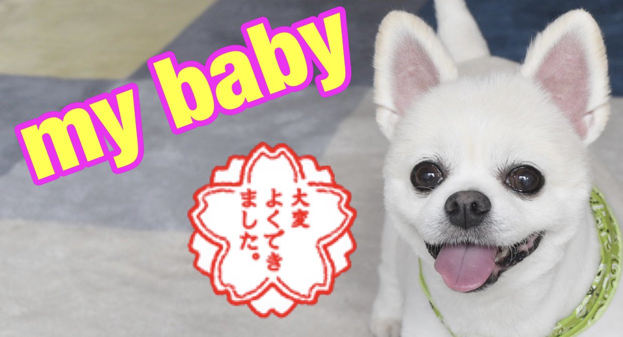 笑う動画 Twitter Search Twitter