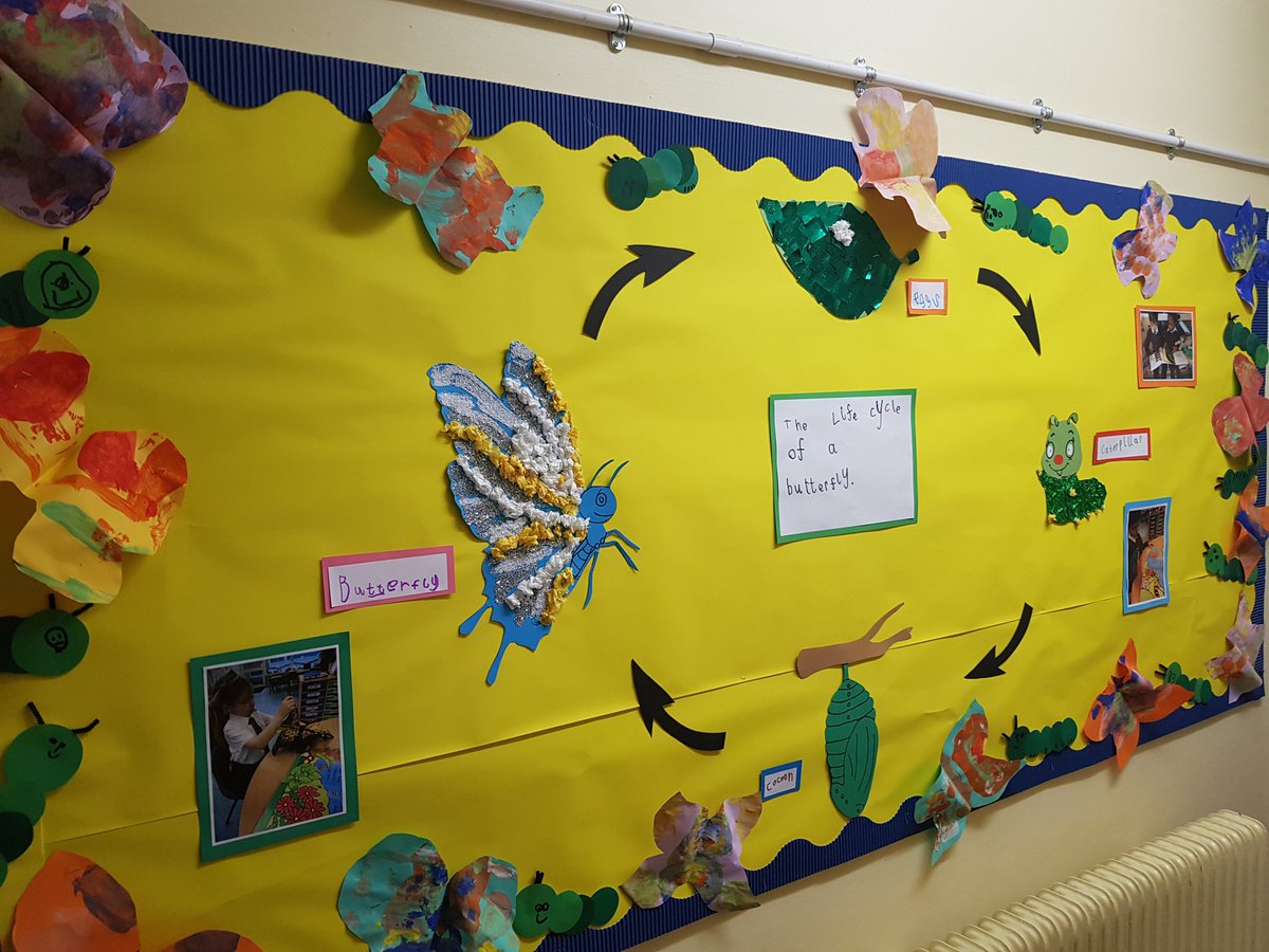 MrMoodyBH's tweet photo. Take a look at some of our wonderful Spring term displays!  #FromSeedToPlate #HealthyBodyHealthyMind https://t.co/Rnrp6wNgVI