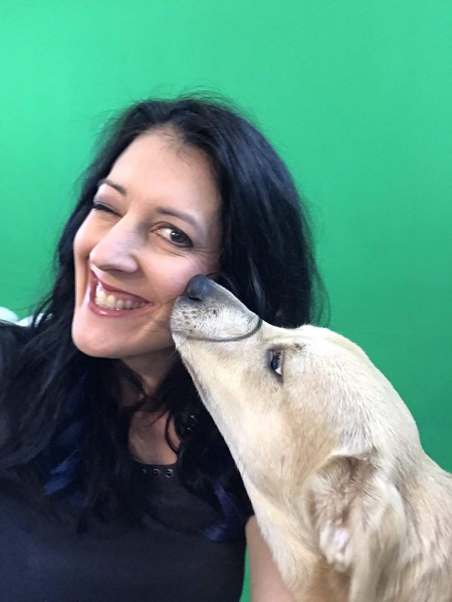 WonderLaura's tweet image. Getting ready to teach my online #PowerApps class today! #PowerPlatform #PowerPups iwmentor.com