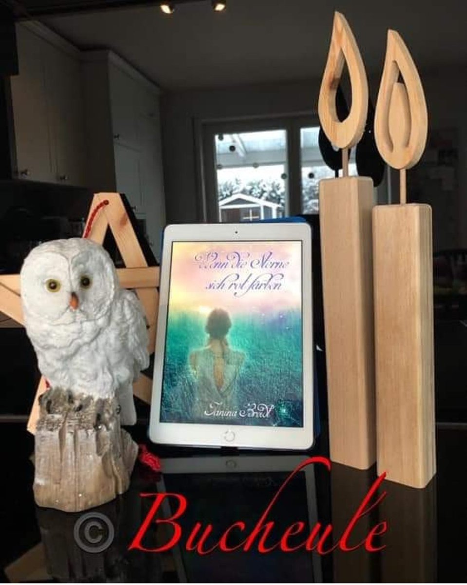 BlogderB's tweet image. Neue #rezension online.
Mehr erfahrt ihr wie immer auf unserer #fb und #instagram Seite.
#wenndiesternesichrotfärben
#janinabreidt
#rezensionsexemplar 
#buchblog