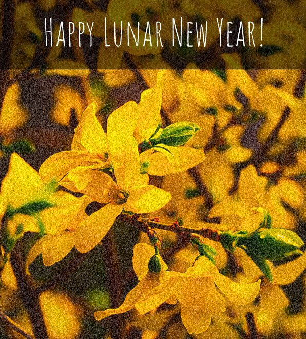Happy Lunar New Year!

#lny #lny2019 #happynewyear #yearofthepig #yyc #calgary #yycnow #calgaryisbeautiful #yyctoday #yycbuzz #happychinesenewyear #chinesenewyear #yyceats