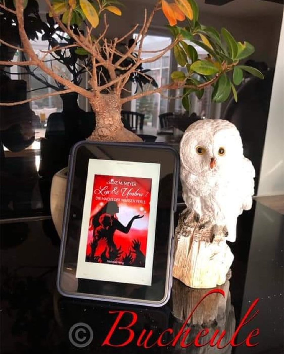 BlogderB's tweet image. Neue #rezension online.
Mehr erfahrt ihr wie immer auf unserer #fb und #instagram Seite.
#luxundumbra2
#diemachtderweissenperle
#silkemmeyer
#rezensionsexemplar 
#buchblog