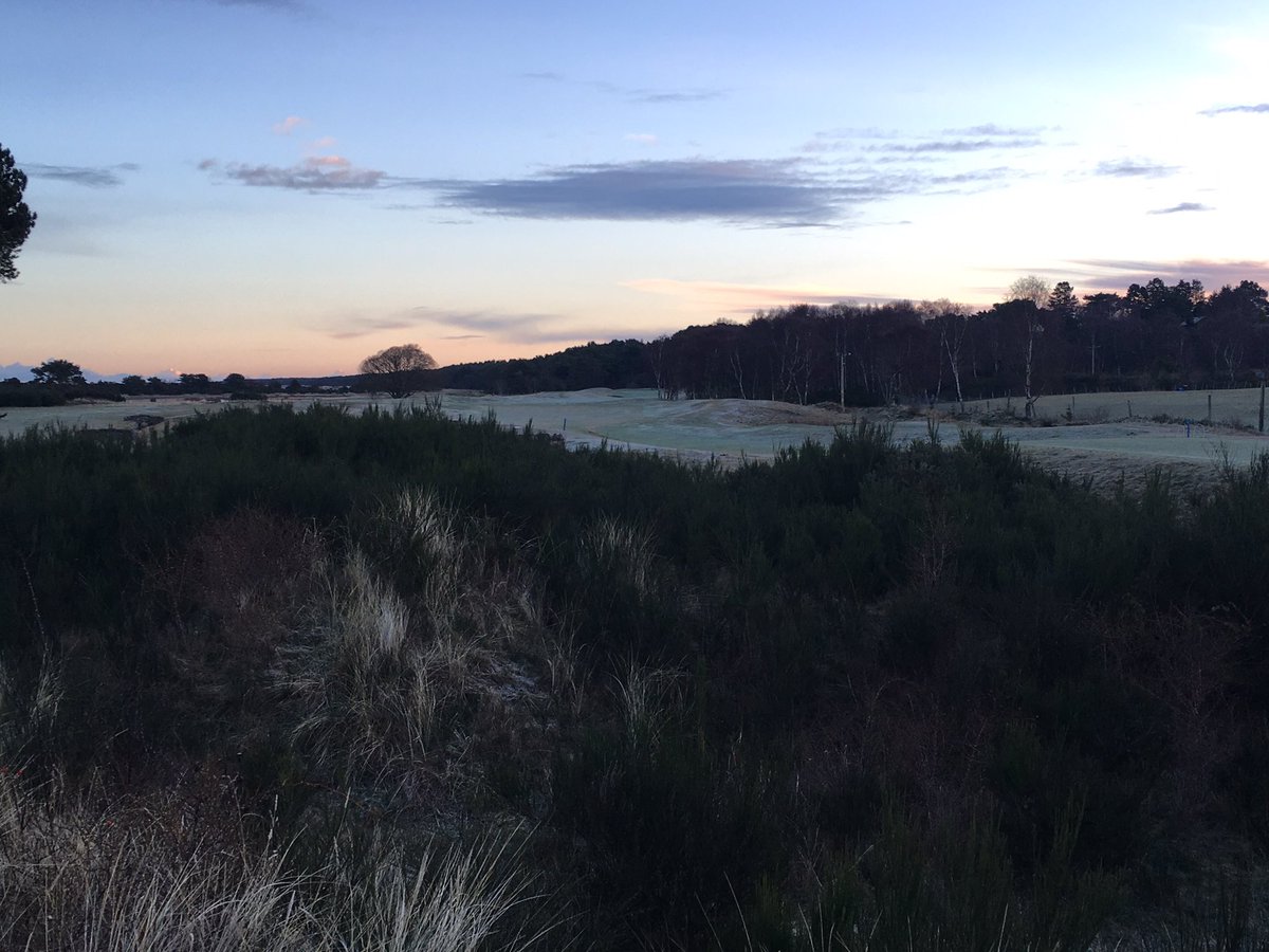 CMbalgownie's tweet photo. Productive day enhancing dune diversity with the removal of invasive broom and gorse. The removal will allow the natural grasses to flourish and encourage ground nesting birds to return to the links⛳️#linksgolf #coastalhabitat #dunesystems #restoration https://t.co/UBnWKx2PjS