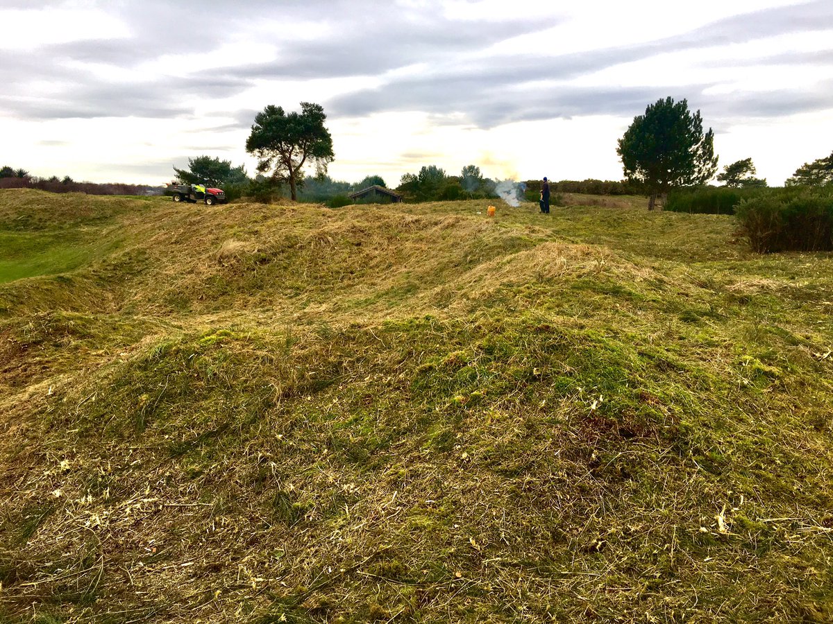 CMbalgownie's tweet photo. Productive day enhancing dune diversity with the removal of invasive broom and gorse. The removal will allow the natural grasses to flourish and encourage ground nesting birds to return to the links⛳️#linksgolf #coastalhabitat #dunesystems #restoration https://t.co/UBnWKx2PjS