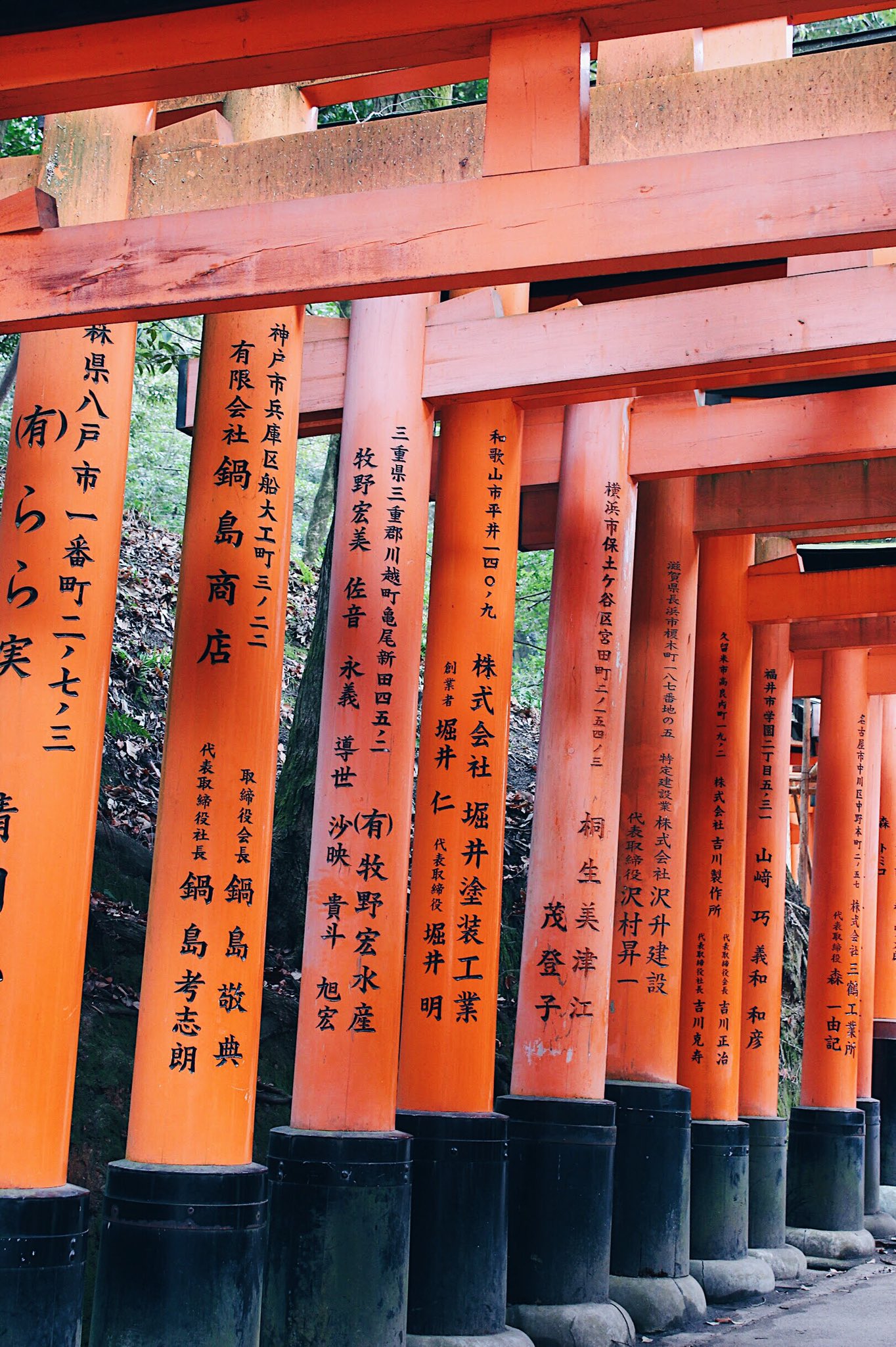 Flower Qween Ver0niqa Twitter