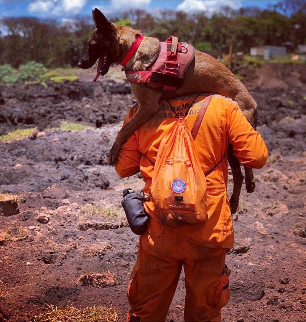Ao lado dos militares, os cães de regate constroem uma parceria de coragem, respeito e lealdade. 
Em troca, ganham muito mais do que a "recompensa canina": recebem, de volta, a amizade, o apreço e a confiança dos seus guias de farda.🐶🐾