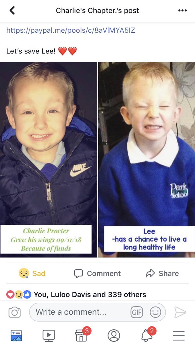 leebelguim's tweet photo. Thank you so much @CharliesChapter your donation &amp; help means everything to us 💚💙 https://t.co/zdcvtjXHo1