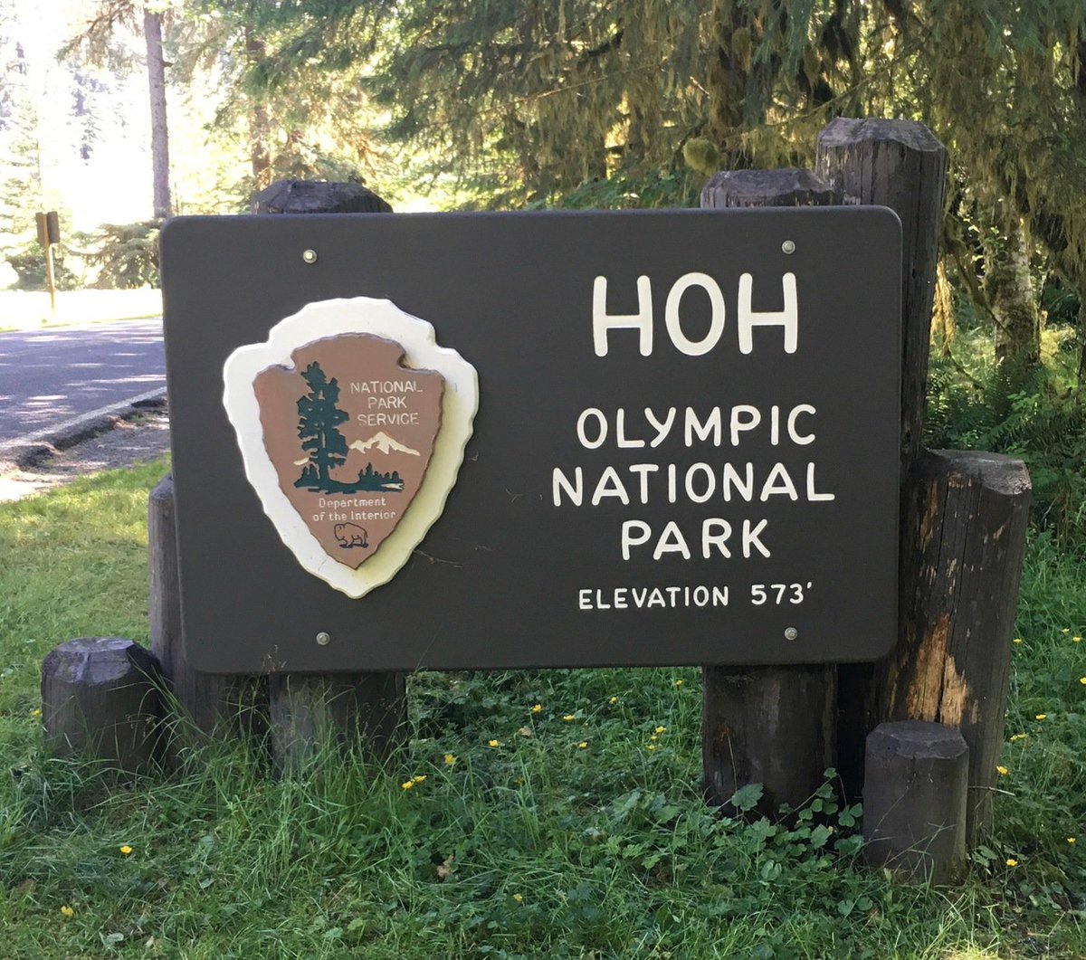 trailtype's tweet image. Another typeface inspired by trail type, Forester, by @HexProjects!   I'm starting to wonder if @futurefonts has an insider working over there. futurefonts.xyz/hex/forester?r…