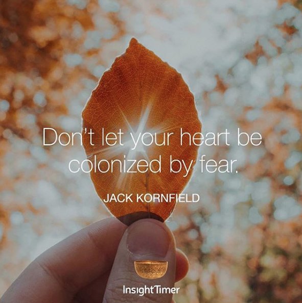 JackKornfield's tweet image. Don’t let your heart be colonized by fear. #jackkornfield #mindfulness #compassion Photo: @InsightTimer