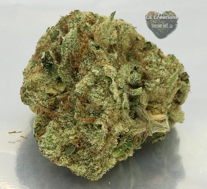 cecreationllc's tweet photo. #cecreationsllc #Sweet #Spicy #strain #SpaceCake to #elevate #myrcene #sedate #mood #love #sativa #Hybrid #flower #GirlScoutCookie #SnowLotus #THC #herb #instagood #cannabis #photooftheday #lit #beautiful #happy #goodvibes #instadaily #follow #picoftheday #smile #follow4follow https://t.co/HoE50dXNeL