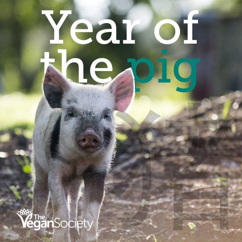 The Vegan Society tweet media