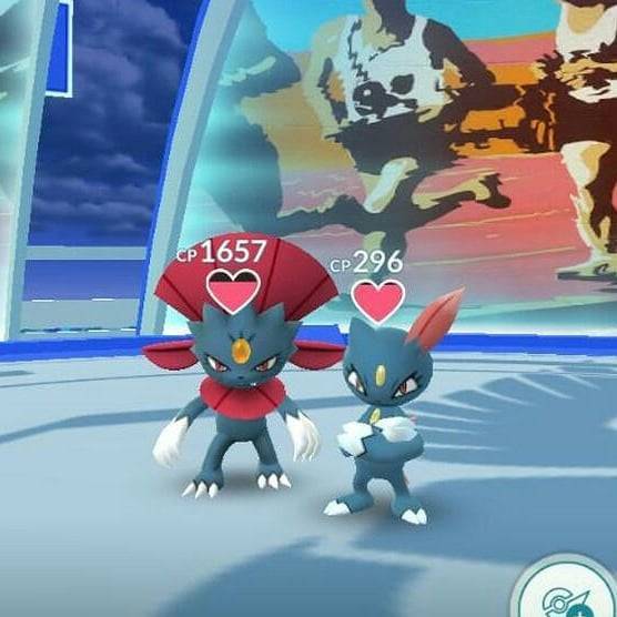 totalmonsense's tweet image. Sneasel family portrait by hongimoto on IG. 🖼📸 #evolutiontheme #familytheme #sneasel #weavile #pokemongo #themegym #teammystic

bit.ly/2GpfHxF