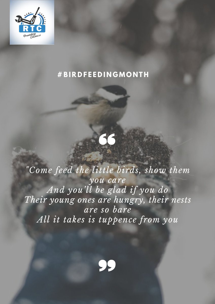 aidhive's tweet image. Bird-Feeding Month reminds us that sometimes they come back a bit early, and they’ve just finished a long journey. Shouldn’t you make sure they get enough to eat to share their lovely voices with you throughout the year?