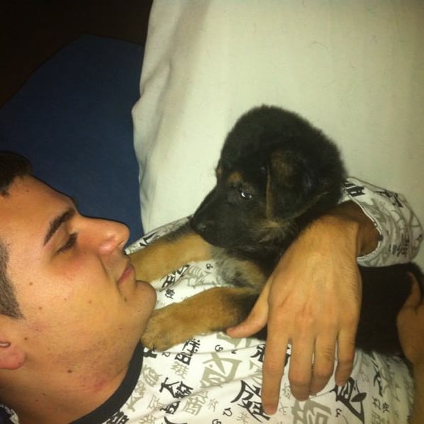 × P a β l ø × tweet media