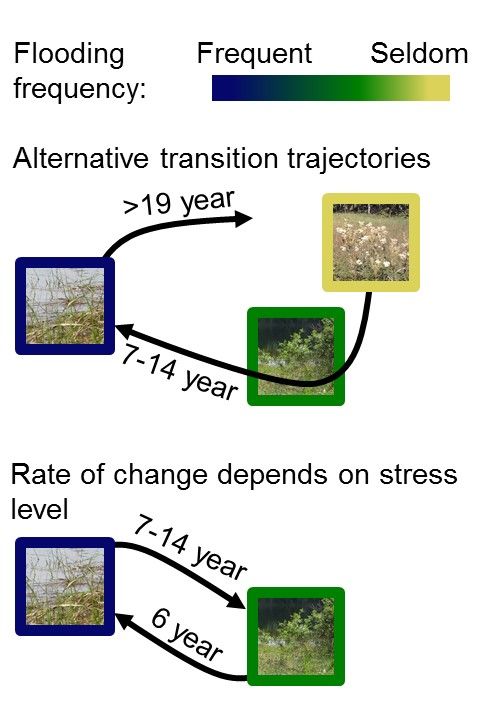 GlobalChangeBio's tweet photo. Alternative transient states and slow plant community responses after changed flooding regimes @chni0001
📝https://t.co/S00Wj9LvU7
#GCBEarlyView https://t.co/u1JWruHzBt