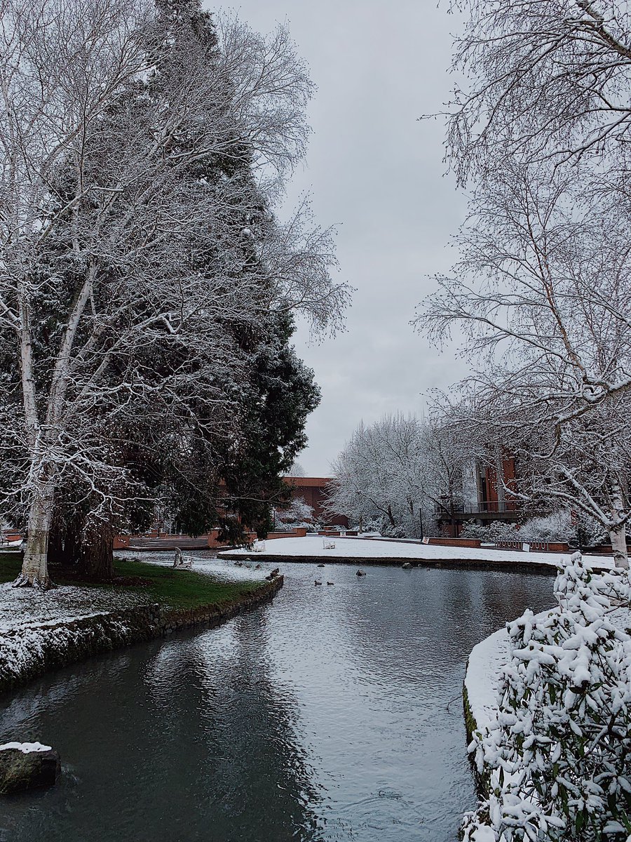 Wow! 

Just when I thought <a href="/willamette_u/">Willamette University</a> couldn’t get any prettier!!❄️☃️🌲