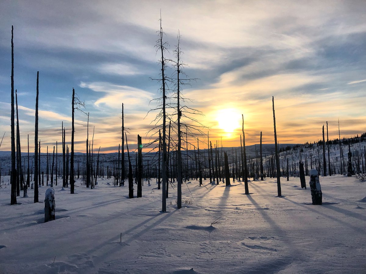 #2019Goals: 
- lift more weights
- quit extra activities at work
- take a college class
- pay down #newhouse by 1/6 (AFTER old equity &amp; downpay added in)

REMINDER to DO yours 💕
Pic: Caribou Hills in #Alaska

#debtfreecommunity
#savemoney
#decisions
FromRichToMarried.com/new-years-reso…