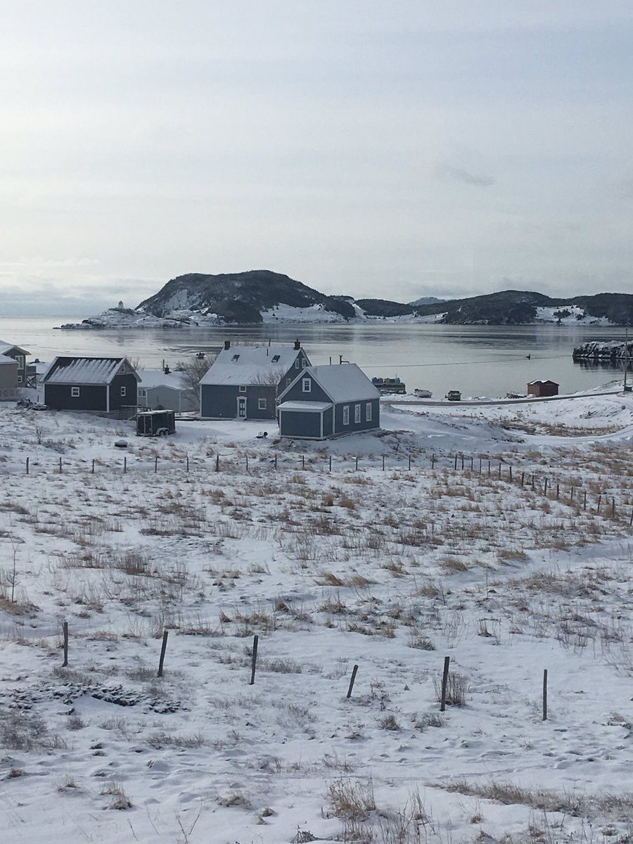 Lena2086's tweet photo. It was a beautiful morning view from the front window the morning #calmweather #Newfoundland #oceanview https://t.co/T0wXhaObak