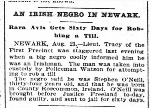 Stephen O'Neill: Irish immigrant from Roscommon (The New York Times, 22 Aug 1897)