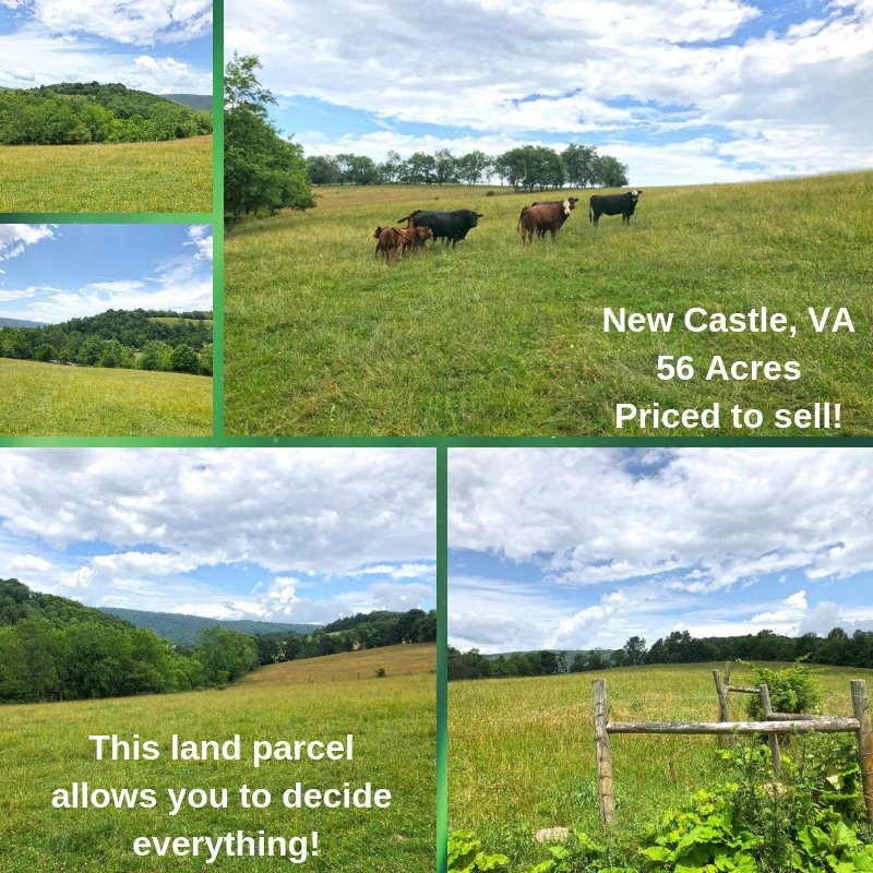 ruralads's tweet image. New Castle, VA
56 Acres For Sale
This beautiful farm has it all
Listed By:
James Woltz
Woltz &amp;amp; Associates, Inc.
bit.ly/2CmdZJC 

#Ranch #Farm #Acreage #land #cattleranch #Grazingland #landforsale