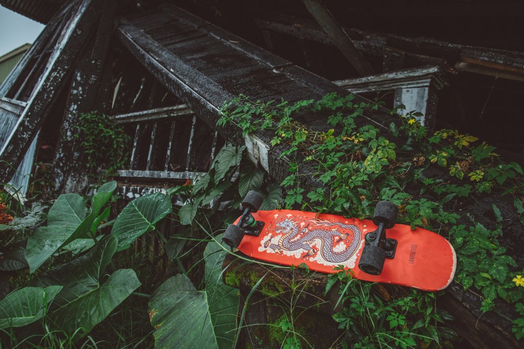 Landyachtz's tweet photo. ππ±ποΈπ₯ #dinghydoesit
Pic: Kevin Carlton https://t.co/h3adFUEJa9