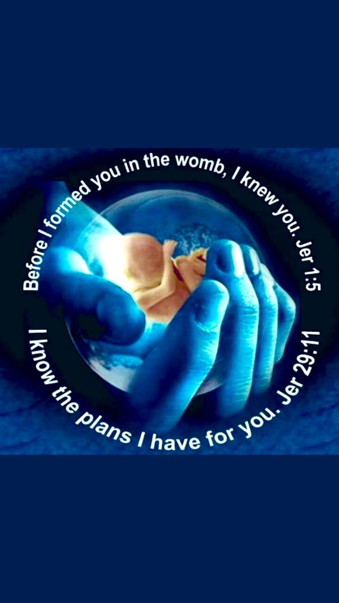 WVNinjaGranny's tweet photo. #SaveTheChildren #EndAbortion #HeKnewUsFirst #StopInfantcide #ProLife #GodsCreation #PerfectlyFormed https://t.co/c1i5bmDgMW